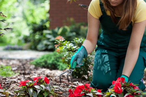 SSL encryption protecting Landscaping Carshalton online payments
