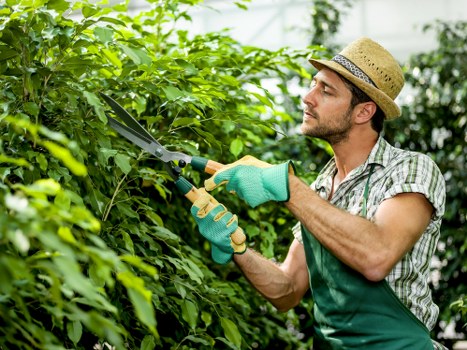 Annual governance review for modern slavery prevention in landscaping