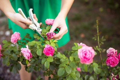 Free quote discussion for landscaping services in Carshalton