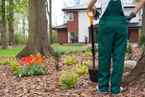 Insurance and safety planning for a landscaping project