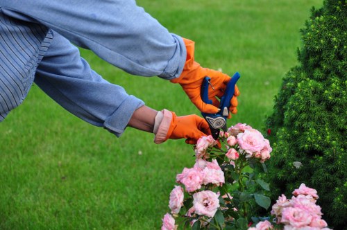 Preparing a Carshalton garden for new soft landscaping work