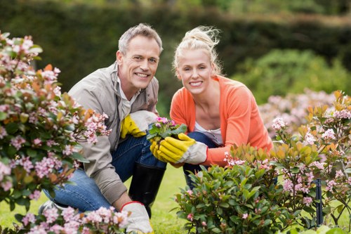 Accessibility-focused image for Landscaping Carshalton content